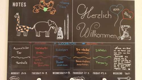 00 20200706 1371877022