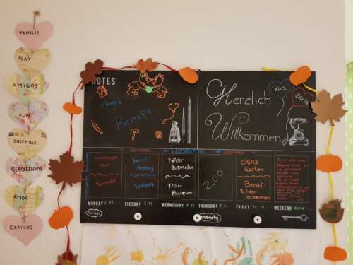 06 20200706 1154044887