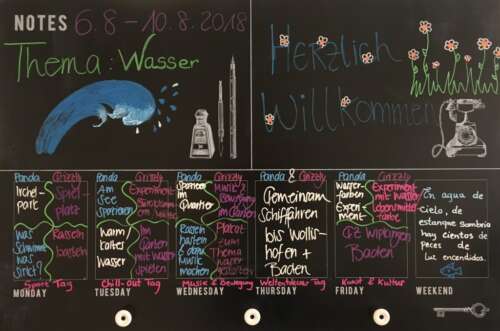 44 20200706 1328570588