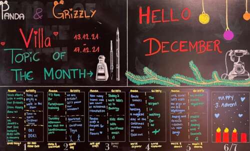 A 215 2a 20211213 1739546645