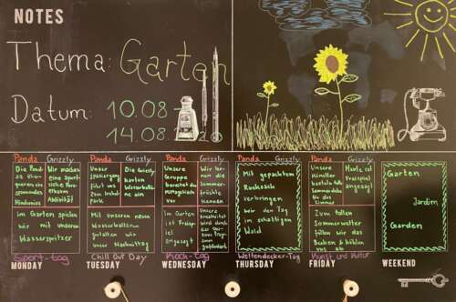 A146 1 20200817 2061071600