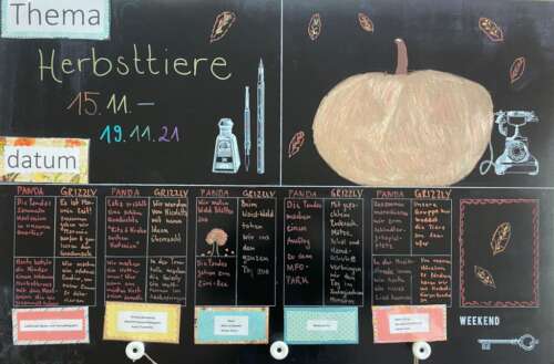 A211 1 20211116 1233194034