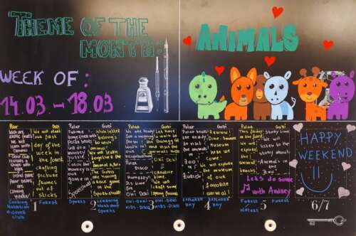 A226 2b 20220315 1876991382