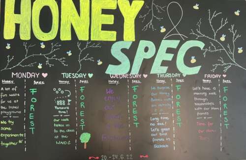 A240 2d 20220620 1961538021