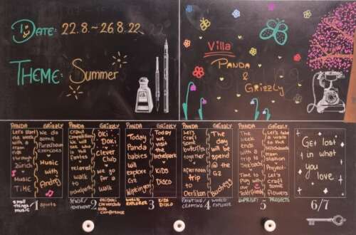 A249 2a 20220820 2009806684