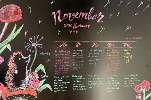 A261 2d 20221111 1893065611