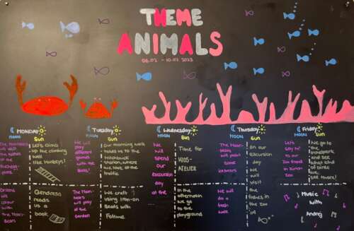 A272 2c 20230206 1513623456