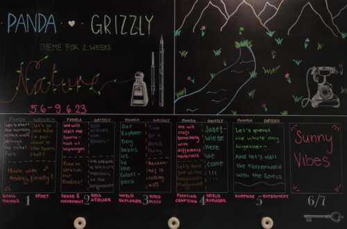 A290 2a 20230605 1170873866