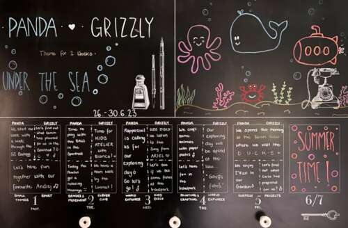 A293 2a 20230623 1027501964