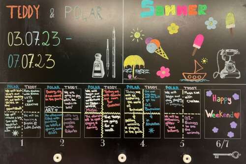 A294 2b 20230703 2019163857