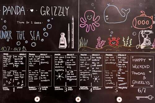 A295 2a 20230708 1356351221