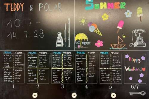 A295 2b 20230708 1115916734