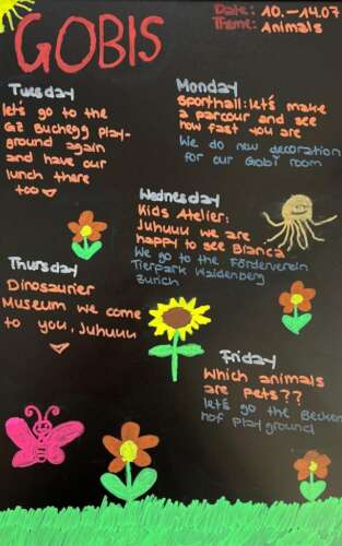 A295 2e 20230708 1047473829