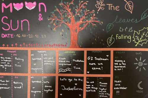 A308 2c 20231015 1950193047