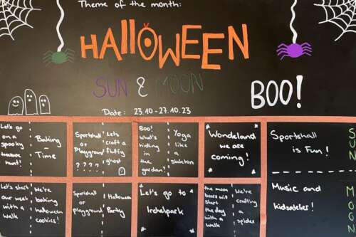 A309 2c 20231023 1922759321