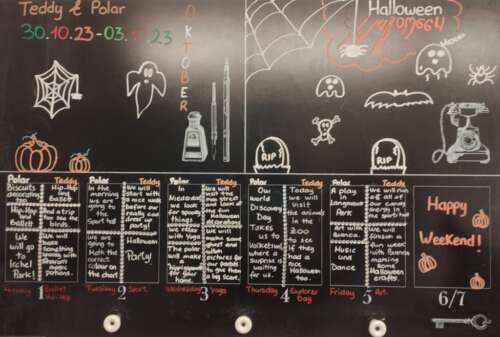 A310 2b 20231030 1124106909