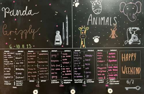 A311 2a 20231105 1679292090