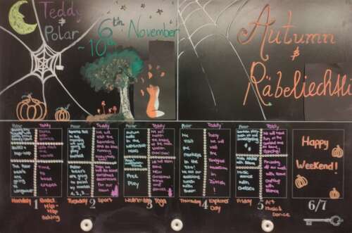 A311 2b 20231105 1385844345